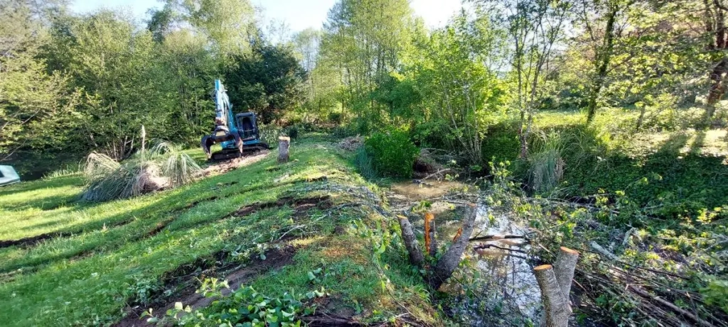 Réhabilitation de terrain : abattage, dessouchage et remise à niveau d’une ancienne levée de moulin